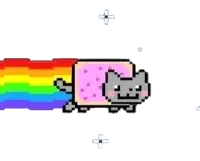 loading cat animated