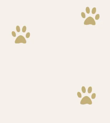 Life with cats